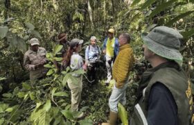 Restablecen cámara trampa en Parque Nacional Sierra La Culata para monitoreo del oso frontino