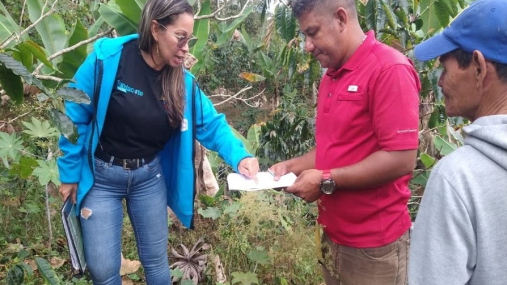 Yaracuy (2)44