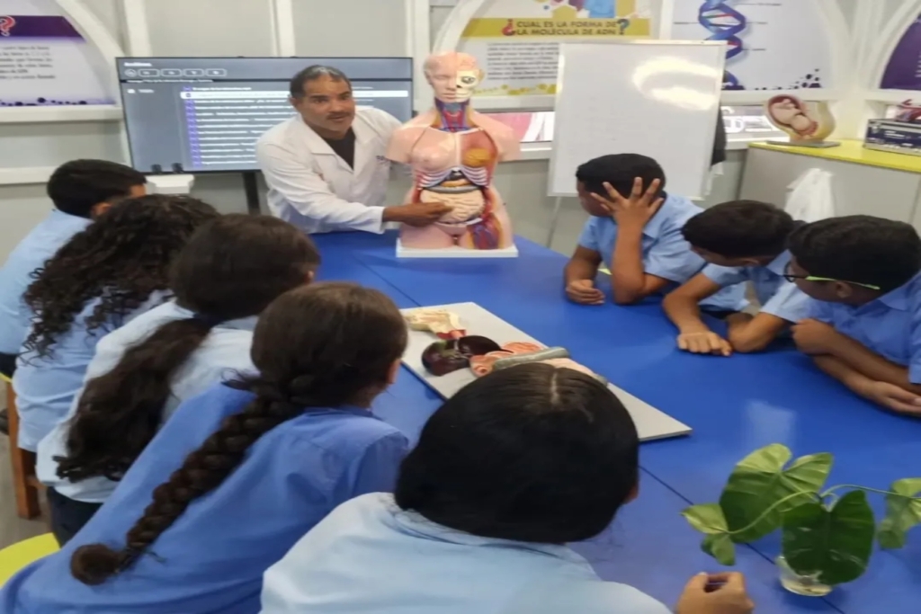 anatomia11