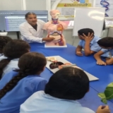 anatomia11