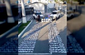 Funcionarios del CICPC incautaron 383 panelas de marihuana en Lara