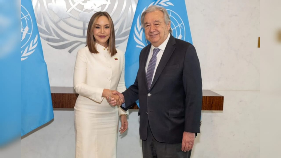 coromoto-godoy-presentando-sus-credenciales-en-la-onu-61262