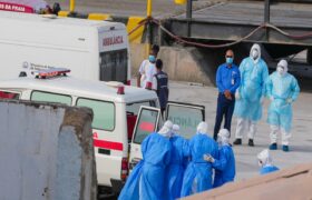 La OMS da detalles de la cepa del hantavirus que tiene en vilo al mundo