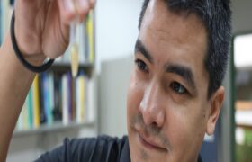 IVIC estudia reproducción del playero pico grueso en Margarita para fortalecer su conservación