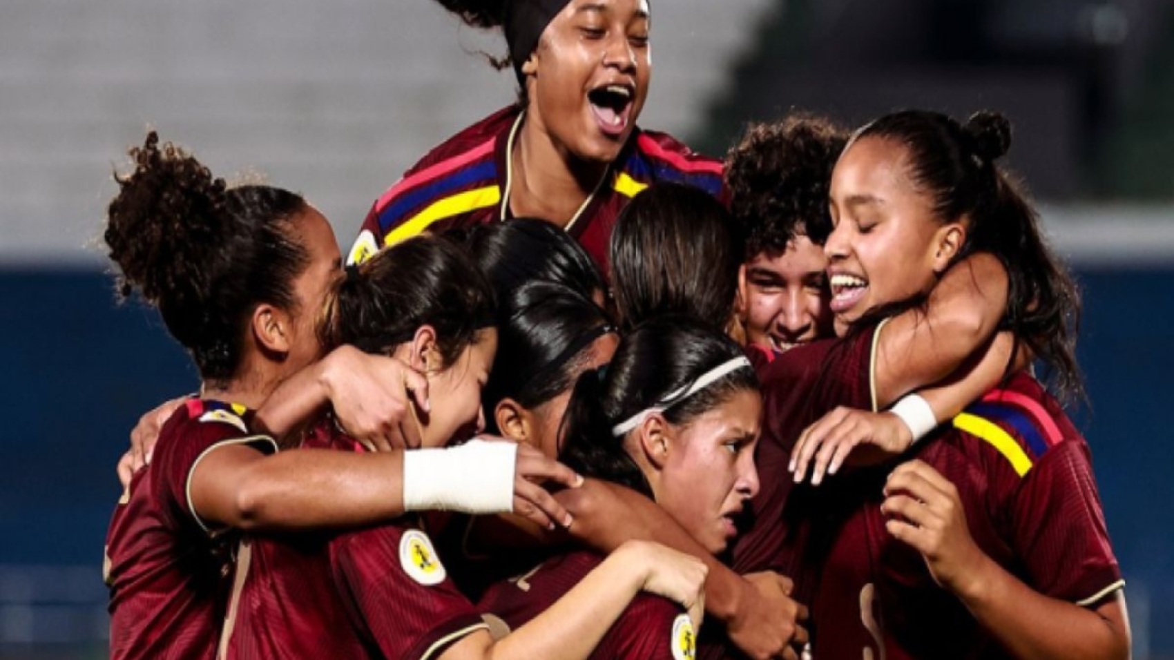 vinotinto66