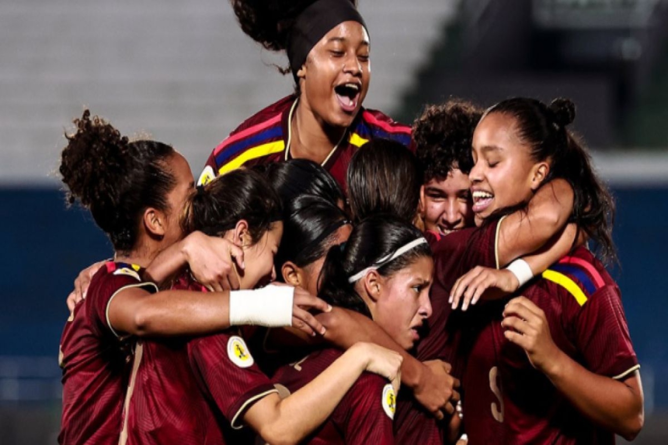 vinotinto66