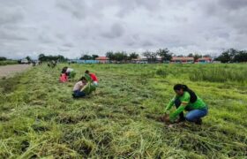 Reforestan con 3.360 árboles en Guárico por el Día Mundial del Ambiente