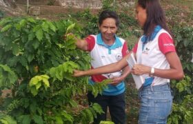 Comunas impulsan producción agrícola en el estado Cojedes