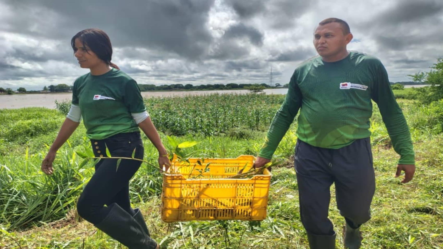 Apure (1)66