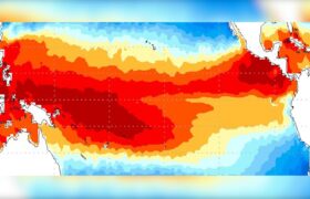 Hay 80% de probabilidad de que «El Niño» haga estragos de nuevo