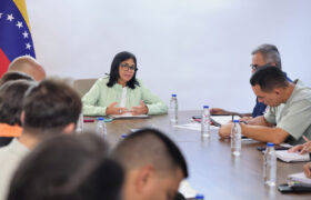 Gobierno activa comisión presidencial de habitabilidad para evaluar infraestructuras tras sismos