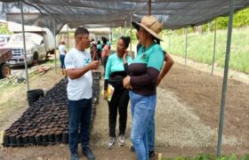 Cenidic fortalece la producción cacaotera en viveros escolares en el estado Miranda