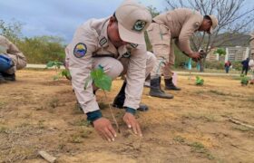 Recuperan con 3 mil plantas el Parque Andrés Eloy Blanco de Puerto La Cruz