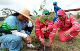 Con siembra de 100 especies forestales fortalecen el Plan Chuquisaca en Monagas