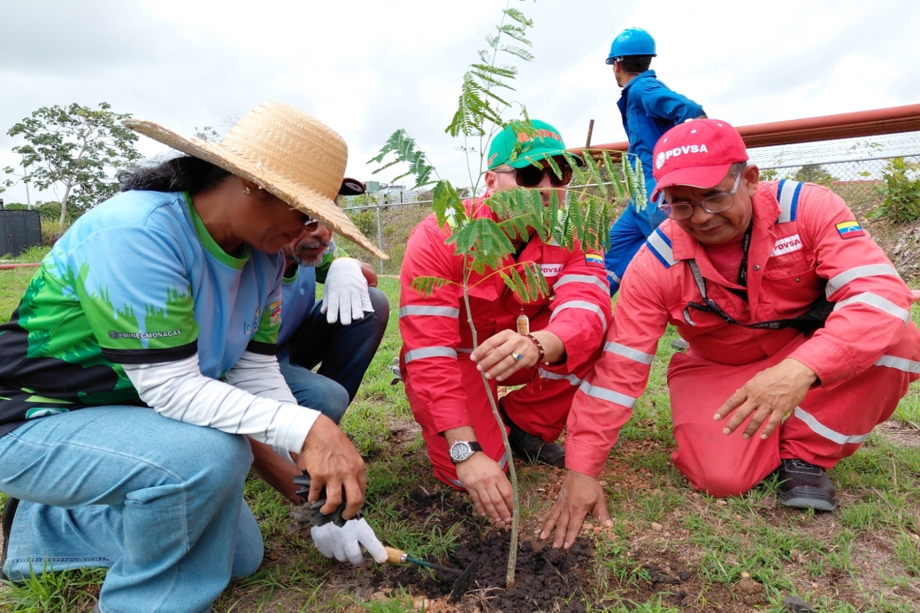 monagas (3)44