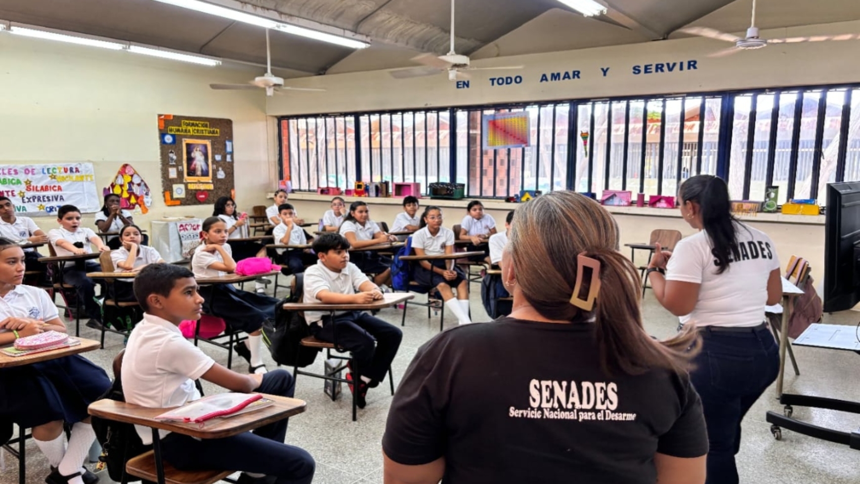 senades (1)11
