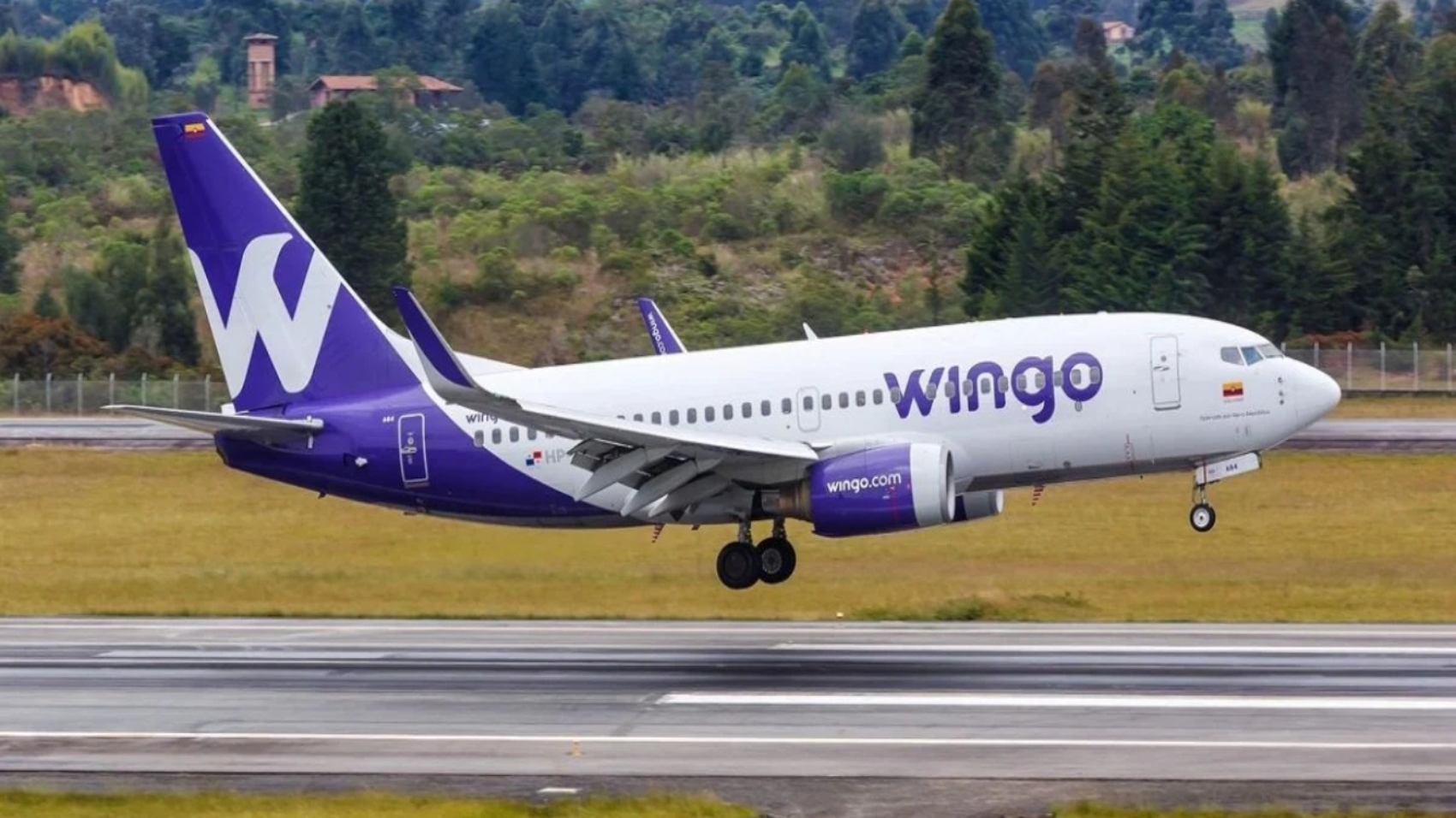 wingo66