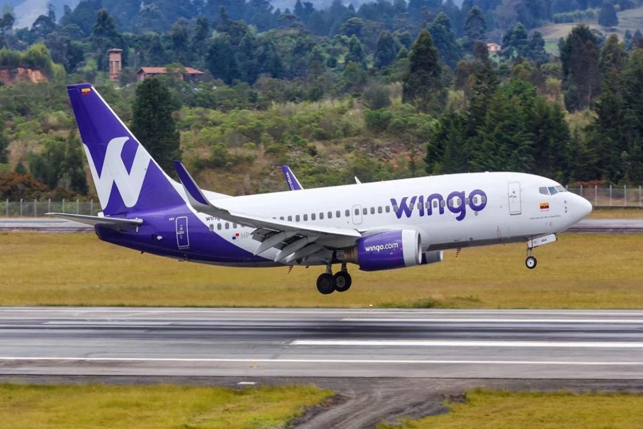 wingo66