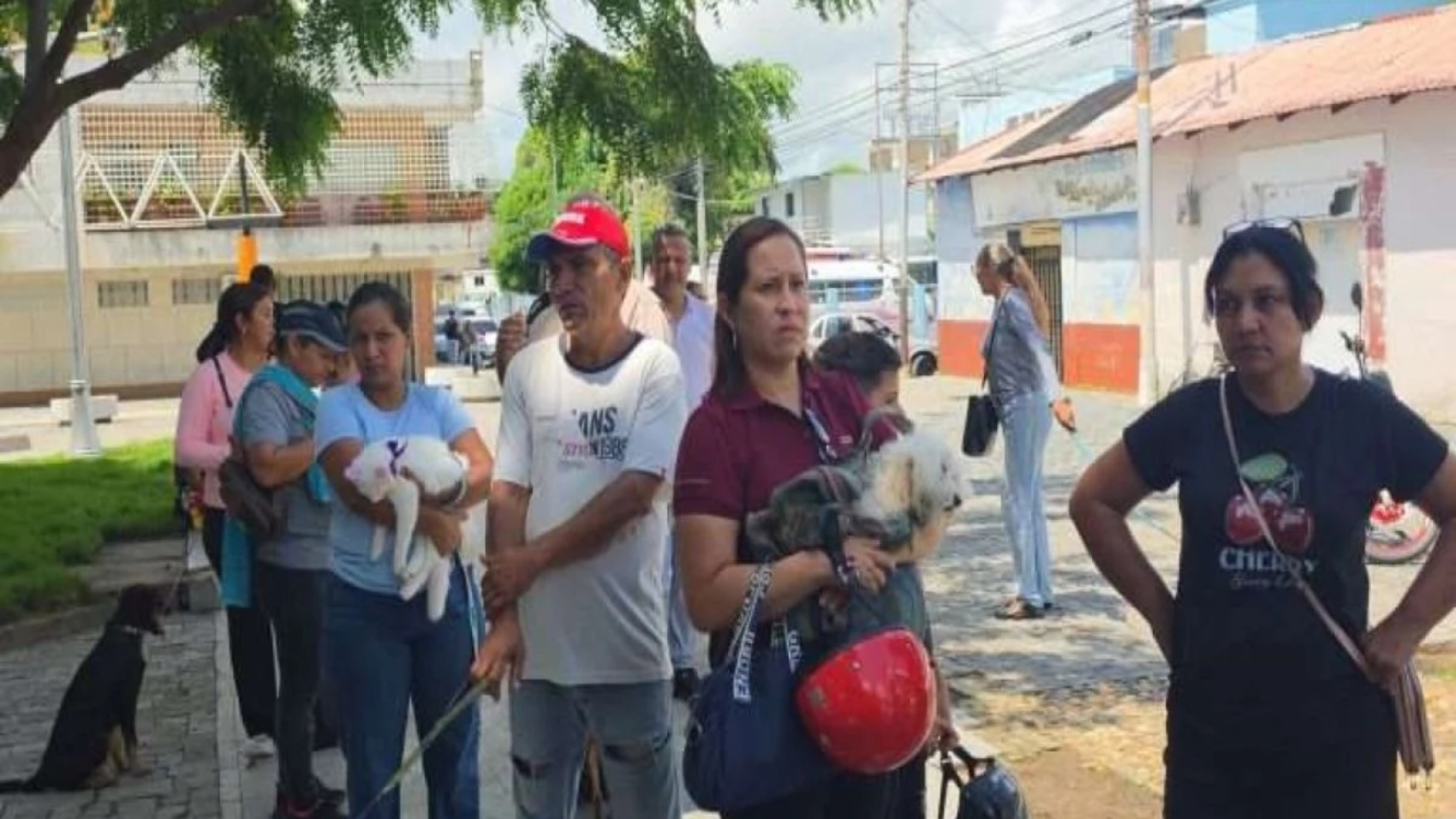 Apure (3)33