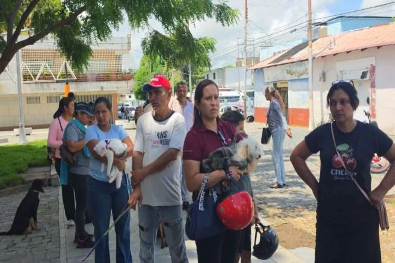 Apure (3)33