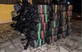 Organismos de seguridad incautan más de 3,3 toneladas de cocaína en Monagas