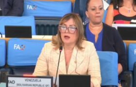 Venezuela presenta experiencia de la Alianza Científico-Campesina ante comité de Agricultura de la FAO