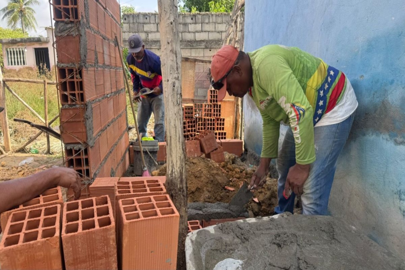 Falcón (4)11