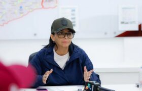 Jefa de Estado (E) desmiente matriz de supuestas fosas comunes en La Guaira