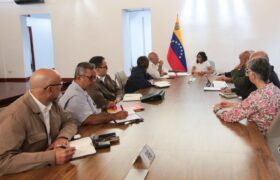 Presidenta (E) evalúa acciones de atención al pueblo en Consejo de Vicepresidentes