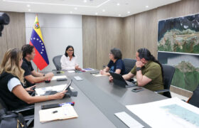 Gobierno nacional impulsa plan integral para la asignación de viviendas