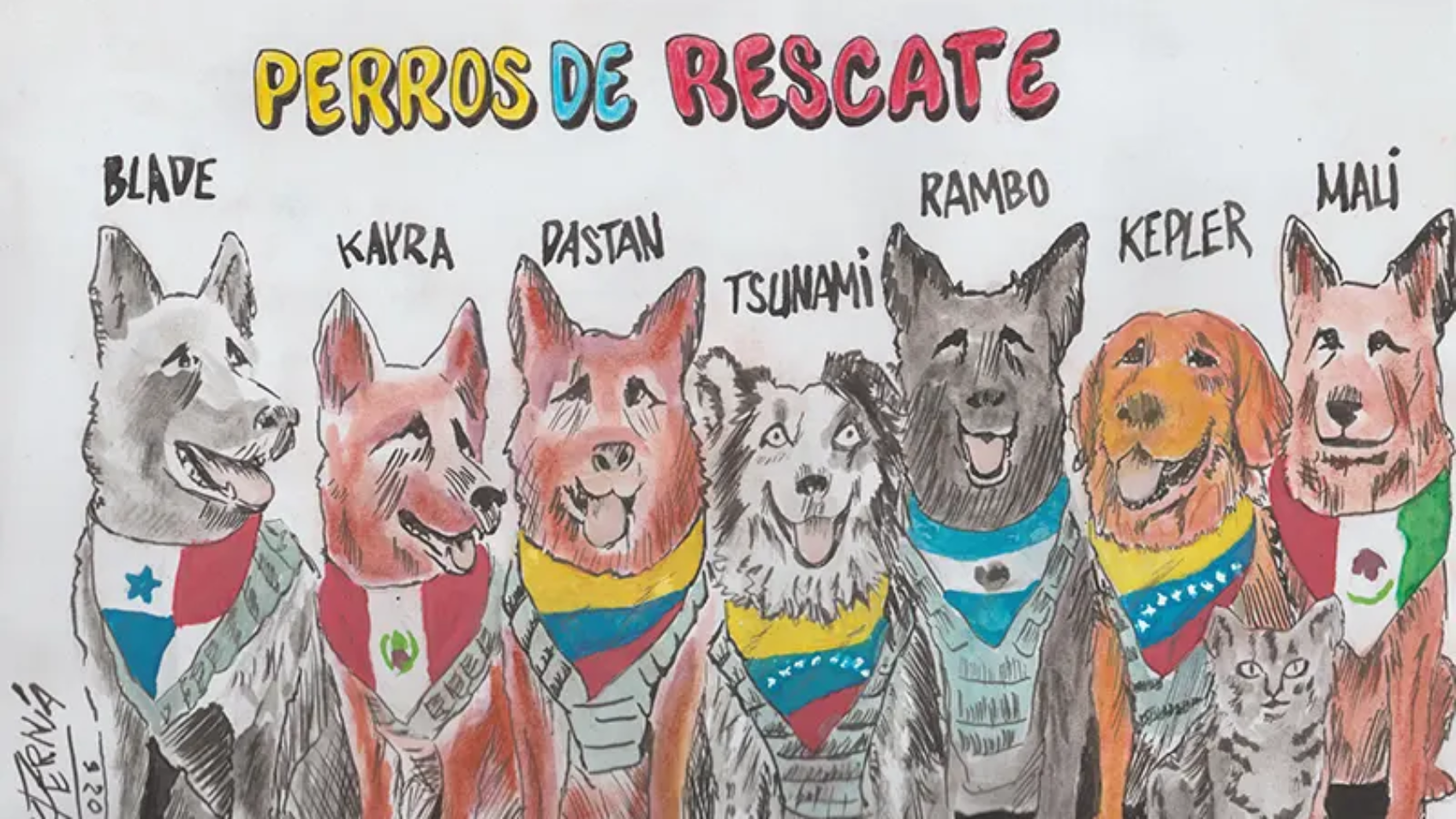 PERROS DE RESCATE