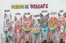 Perros de Rescate  por Omar Pernía Sánchez
