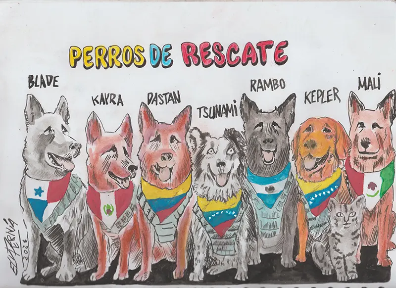 PERROS DE RESCATE