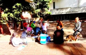 Taller de Ecopoesía convoca hoy sábado un reencuentro por la vida