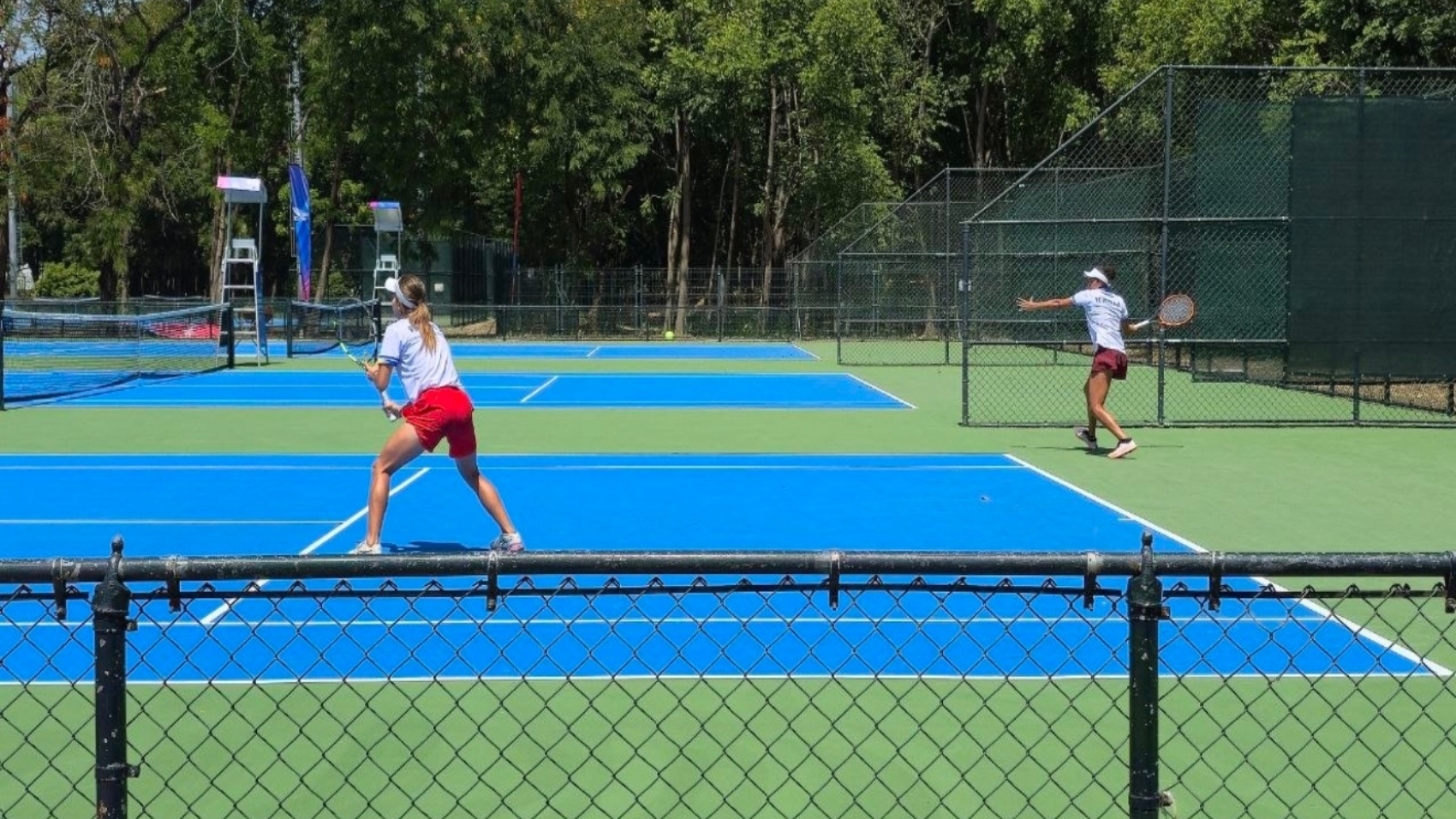 Tenis44