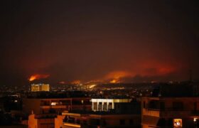 ONU alerta: Incendios forestales arrasan seis millones de hectáreas en 2026