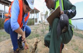 Especialistas del Cenvih inspeccionan edificaciones militares en La Guaira tras eventos sísmicos