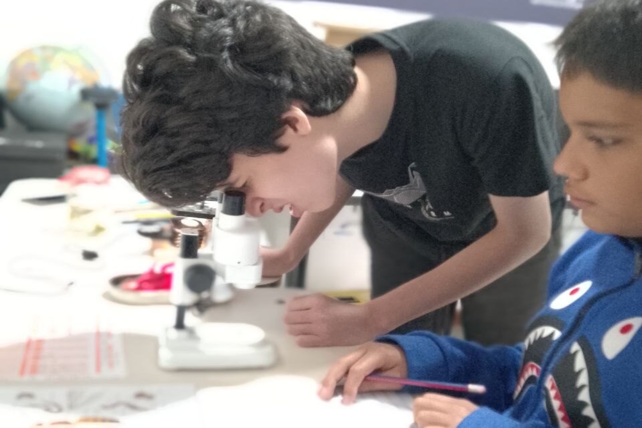 microscopia mérida44