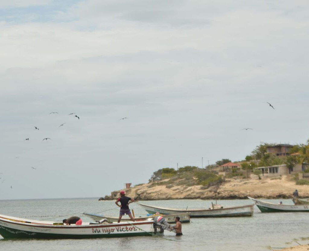 Instituciones del Estado y sector pesquero acuerdan medidas para reactivar la pesca artesanal en La Guaira