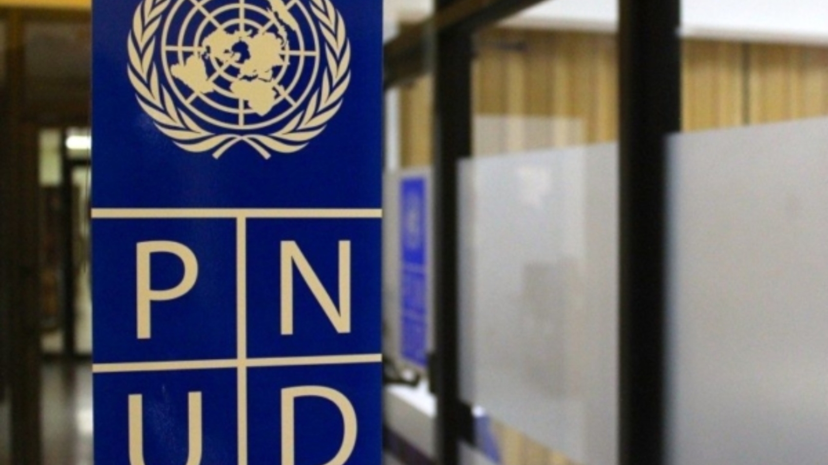 pnud55