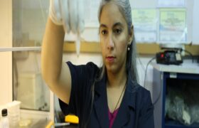 Científica Yulimar De Araujo impulsa la física nuclear para la preservación ambiental