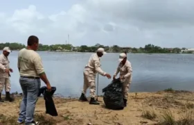 Realizada jornada de saneamiento ambiental en la Laguna de Tacarigua