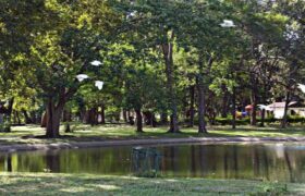 Comienza plan de humanización y rescate de parques y plazas en Acarigua