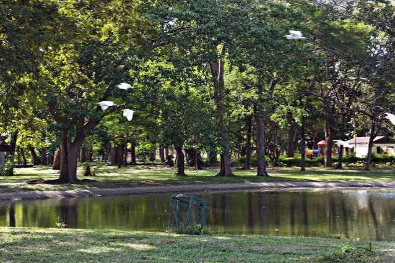 Acarigua11