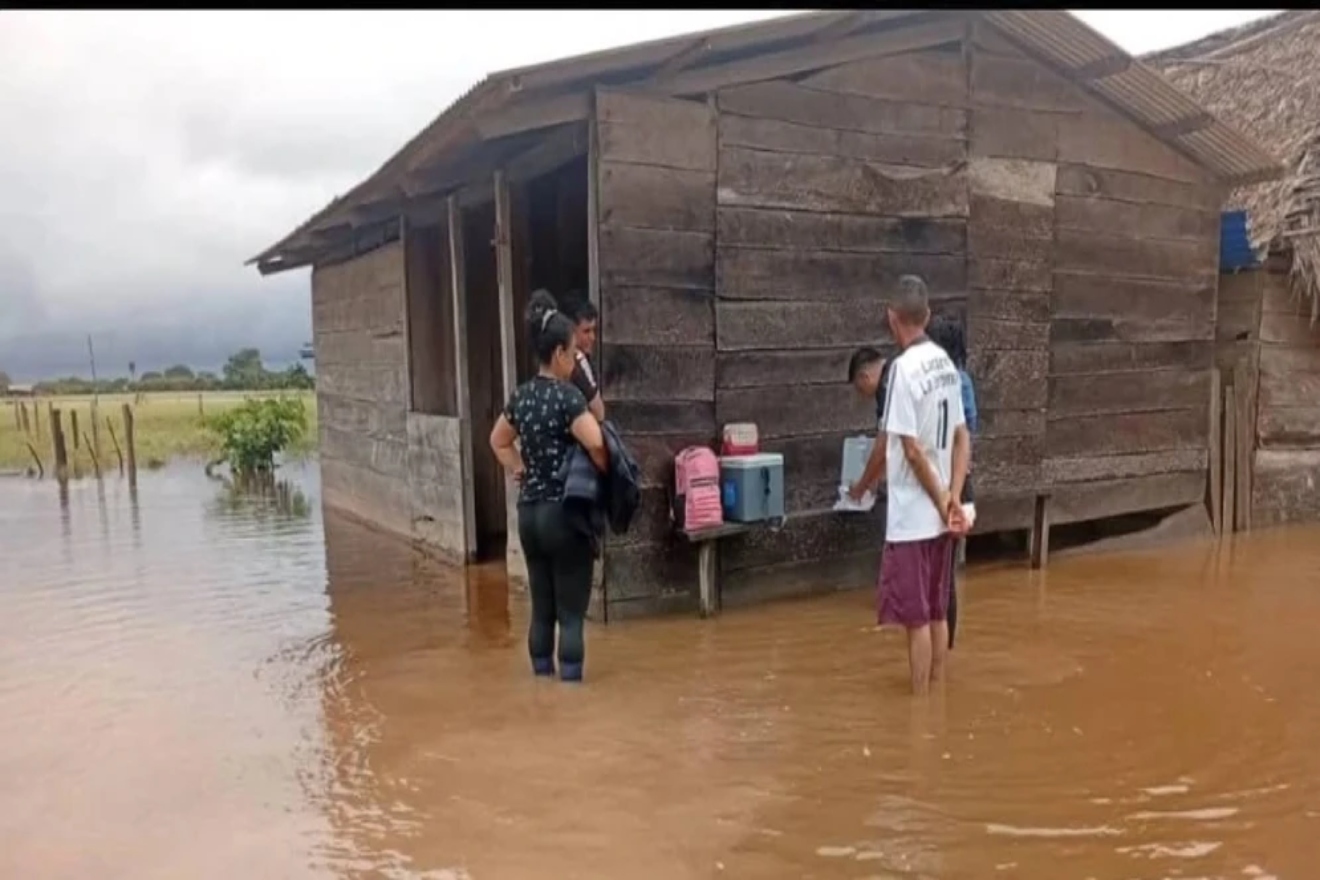 BARINAS (5)11