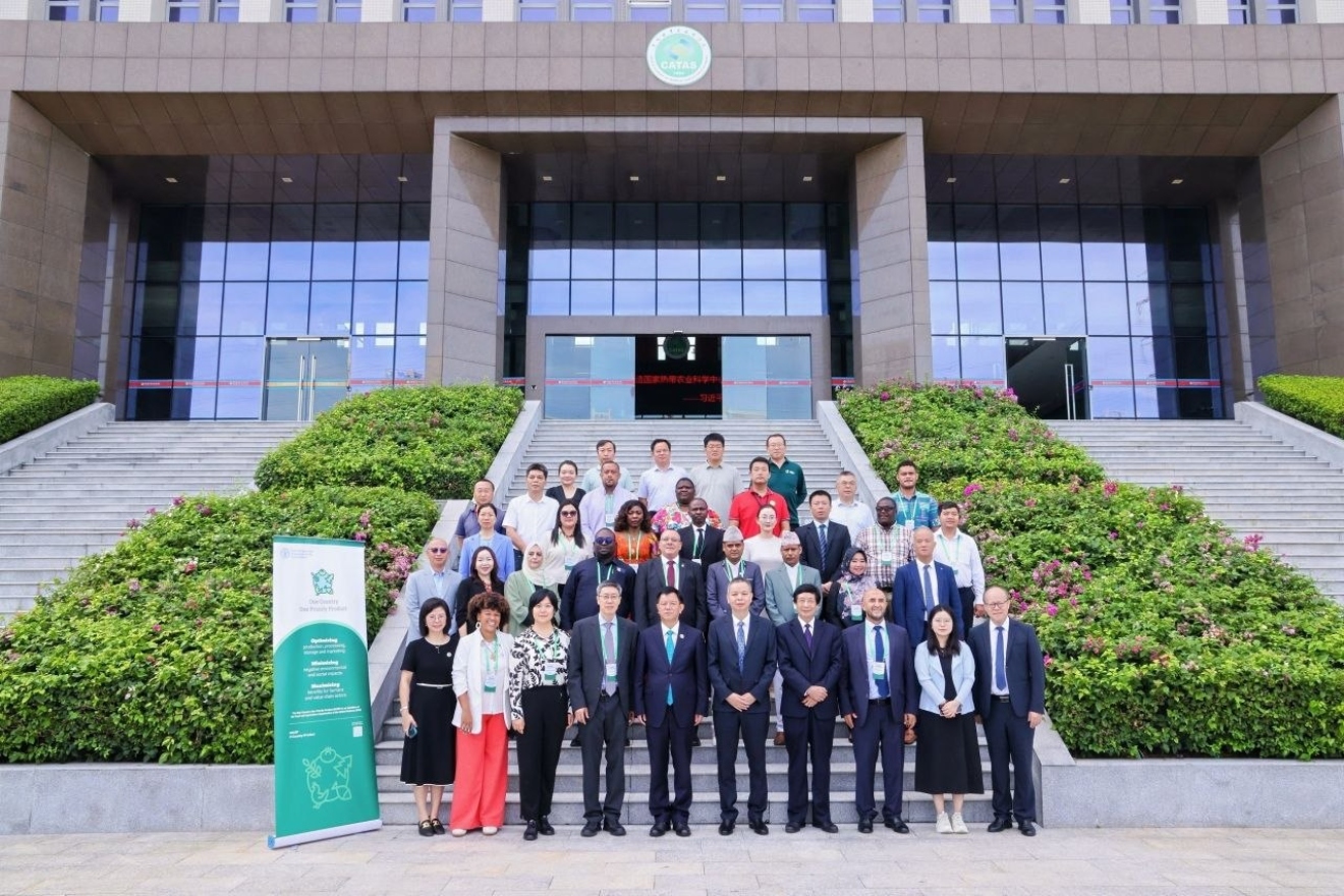 China CNTQ33