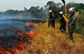 Colombia afronta grave emergencia por incendios forestales