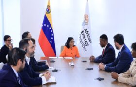 Venezuela y la Cámara Africana de Energía evaluaron alianzas de inversión en hidrocarburos