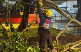 Equipos de emergencias atienden afectaciones generadas tras las fuertes lluvias