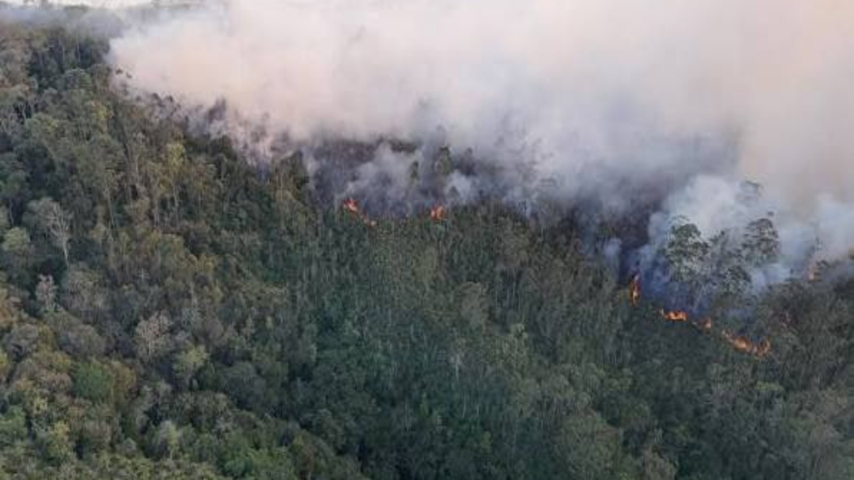 INCENDIOS (3)22